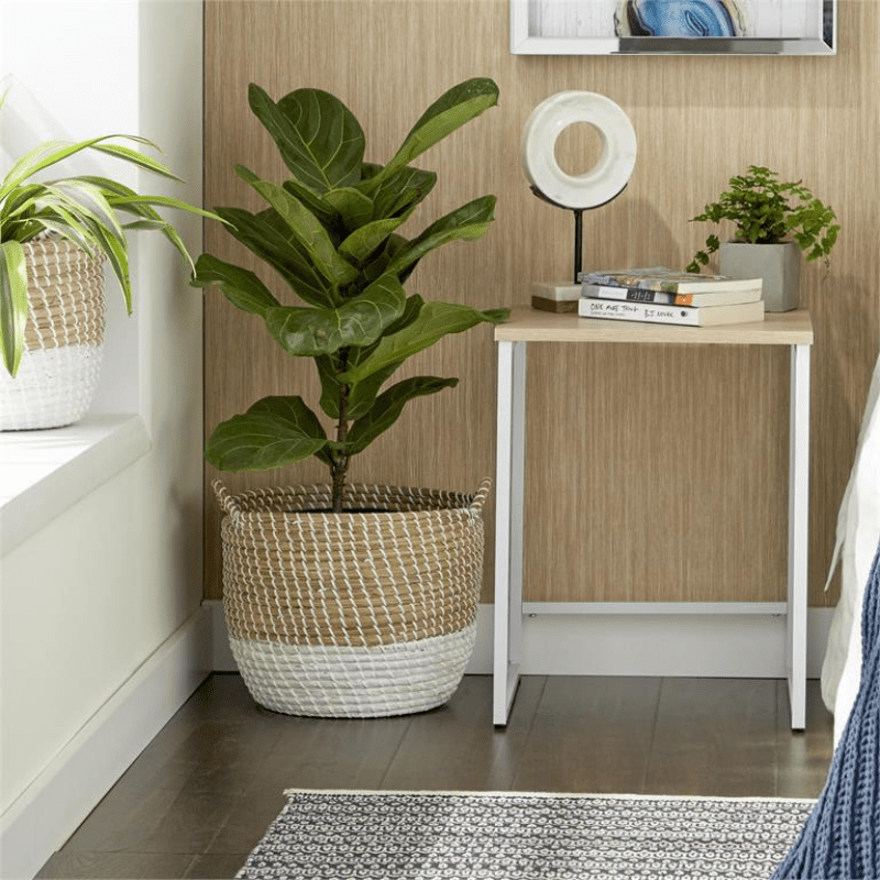 Set cestas Seagrass - Image 3