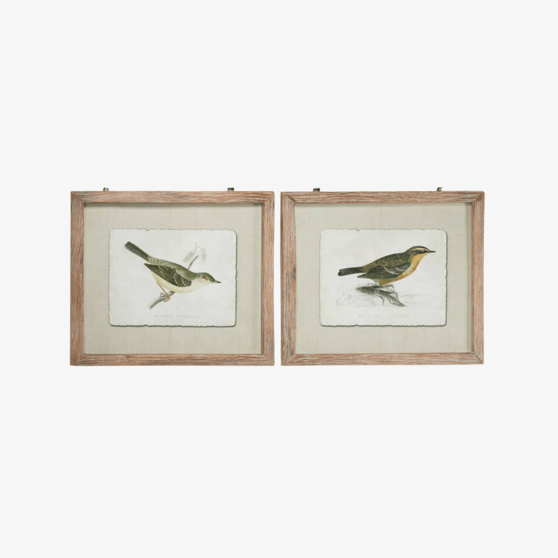 Set Cuadros pájaros cottage
