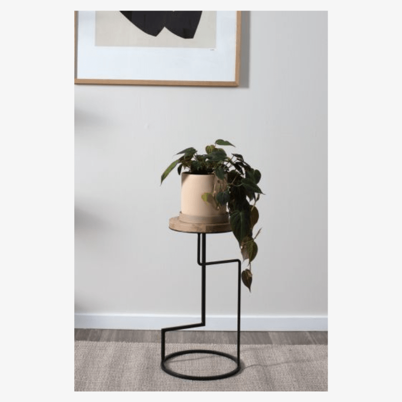 Mesa Wassily - Image 2