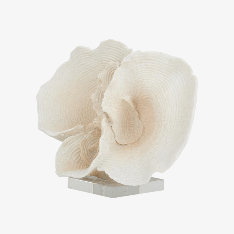 Escultura de Coral - Image 3