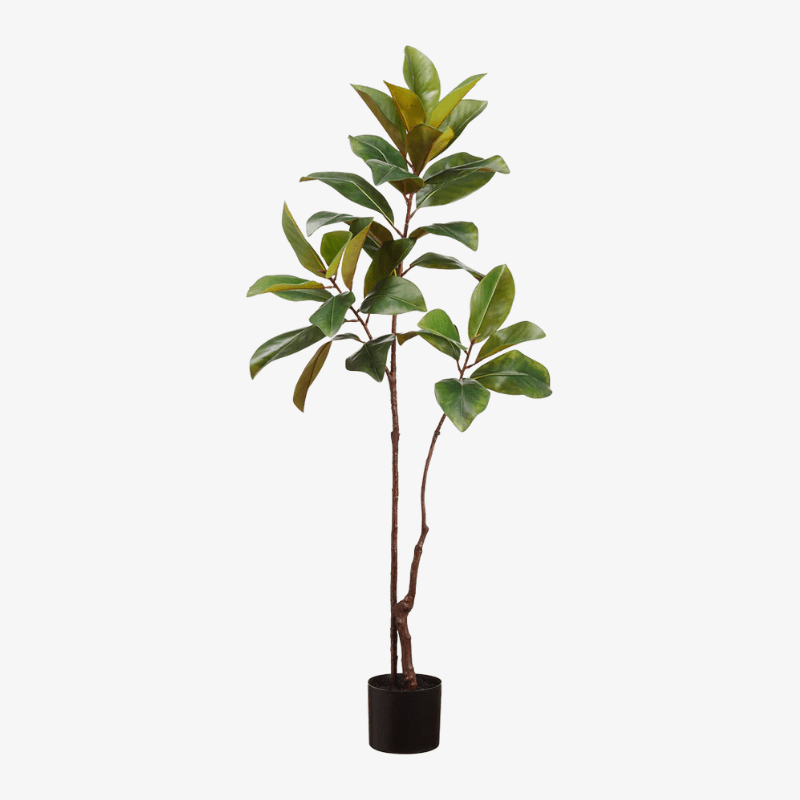 Árbol de Magnolia 47.25"