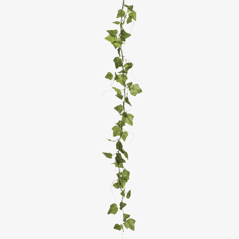 Ivy Garland