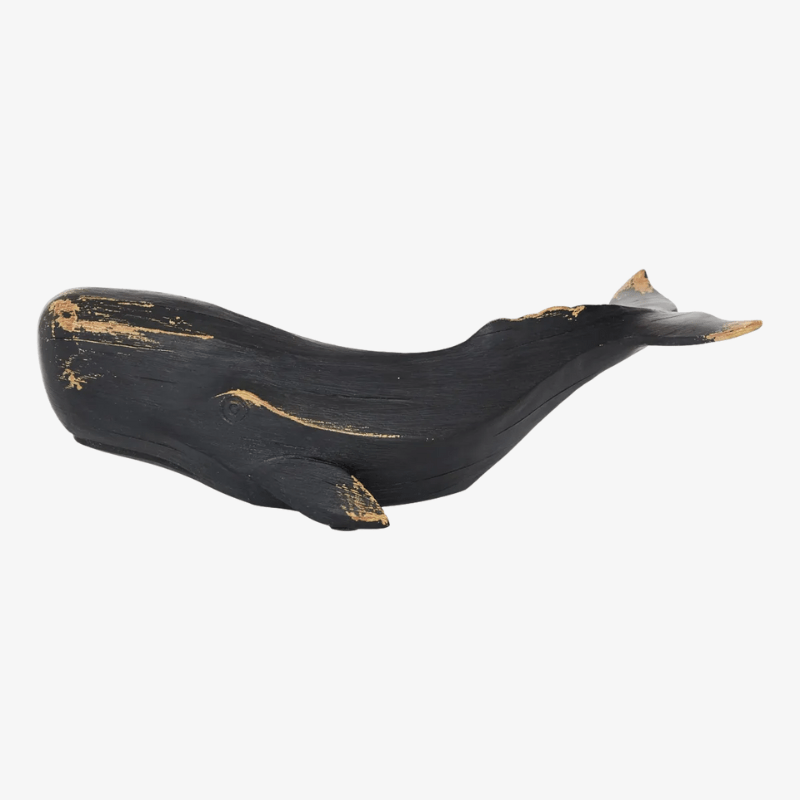 Ballena Negra