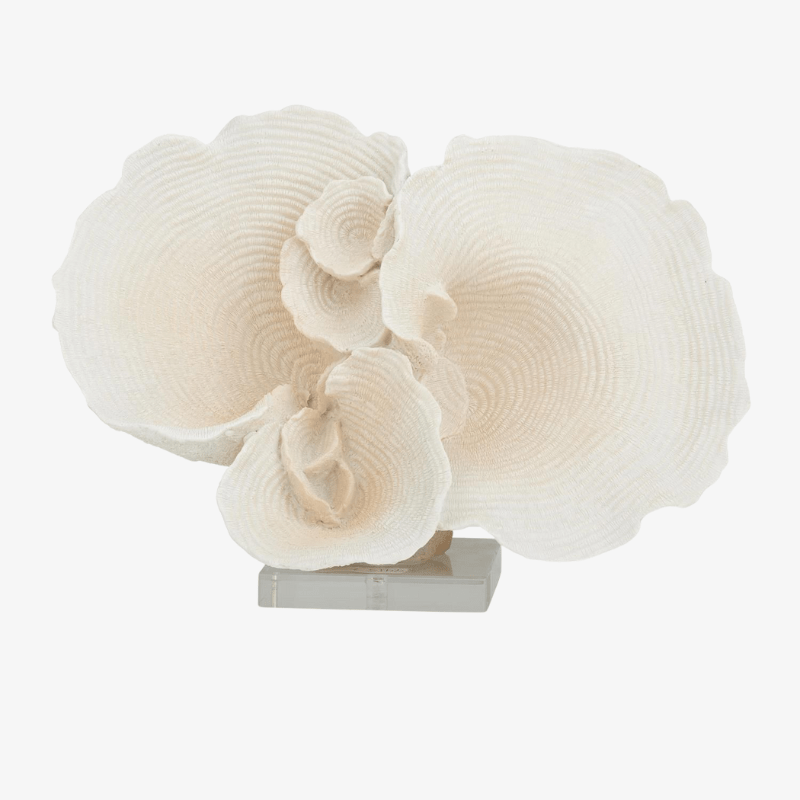 Escultura de Coral
