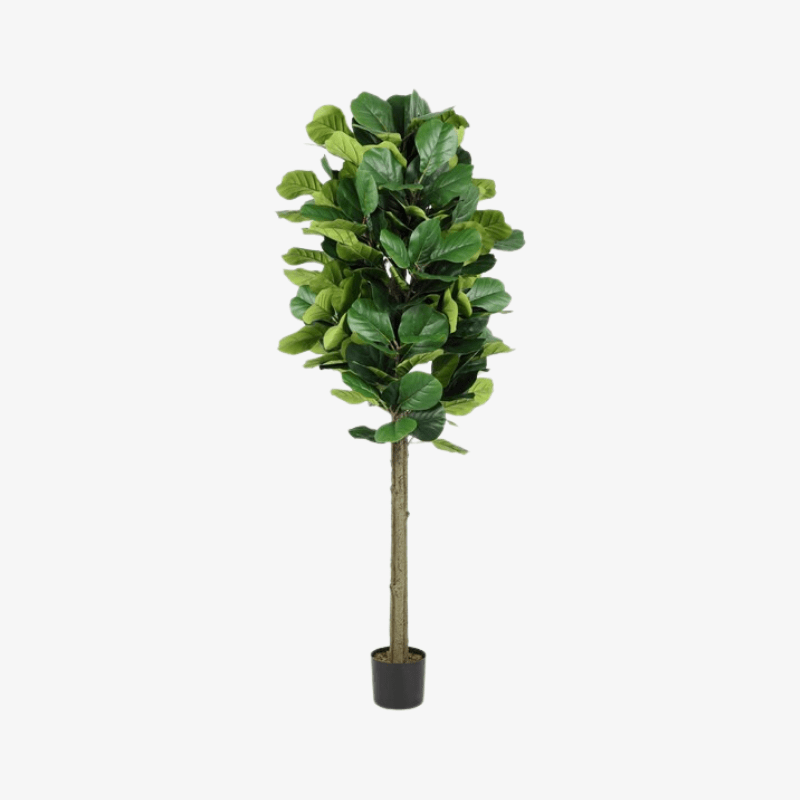 Árbol de violín