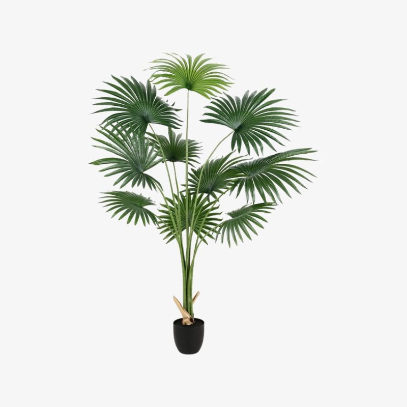 palmera-en-maceta