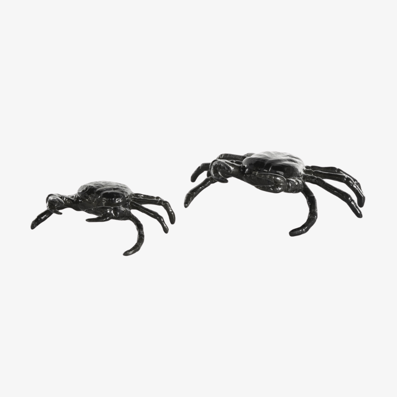 Set 2 Cangrejos Negros