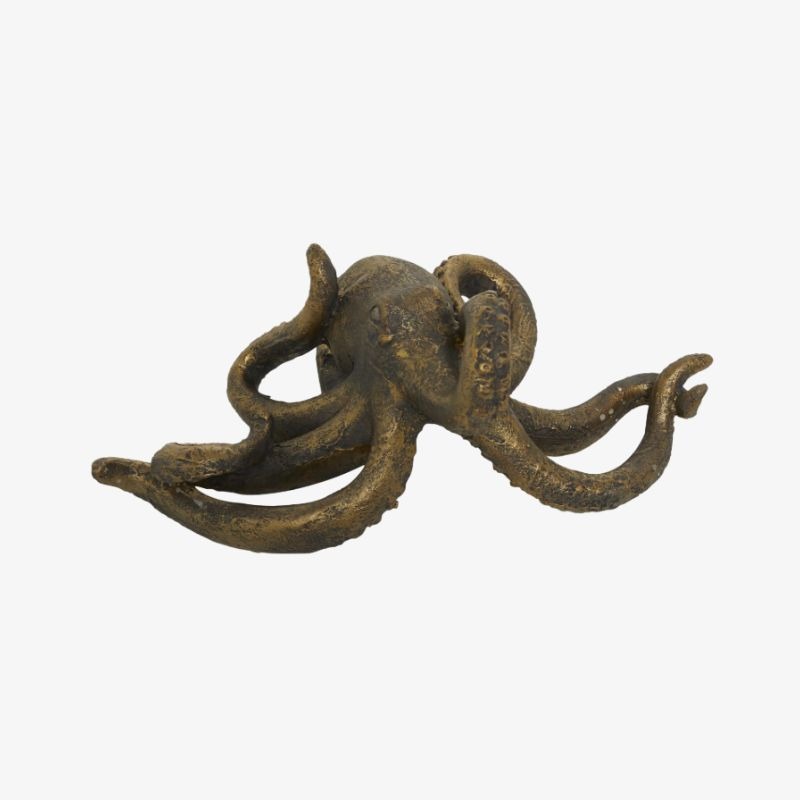 pulpo-desgastado