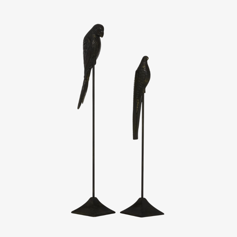 Set 2 Pajaros Negros