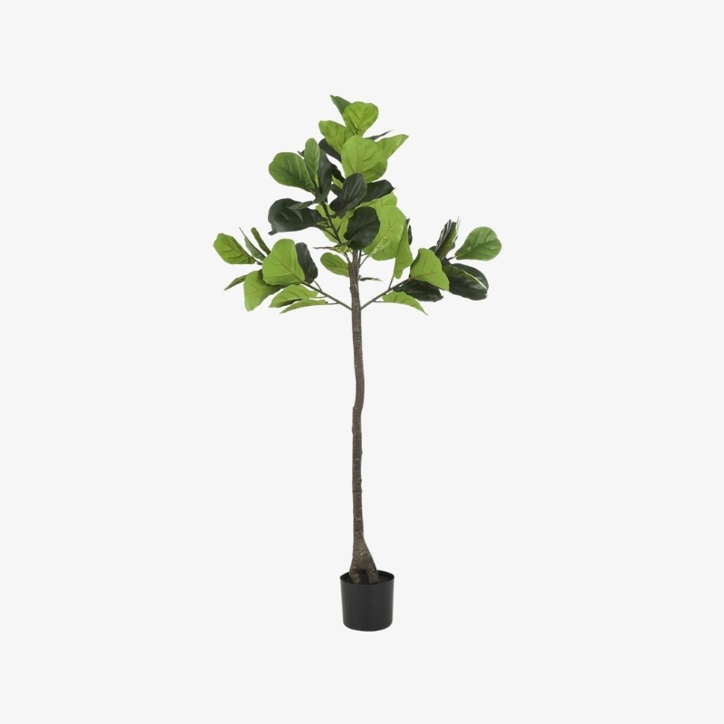 Árbol Violín