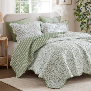 Juego de colcha estampada Darcy de 3 piezas, Verde salvia, Full/Queen