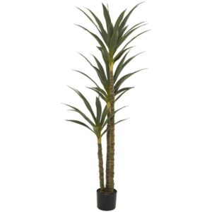 Árbol sisal